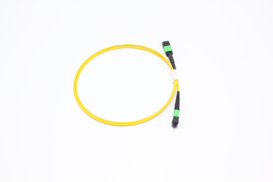 OM3/OM4 MPO Connector 12 Fiber MPO Trunk Cable 8/12/24F MTP MPO Cable สําหรับห้องศูนย์ข้อมูล